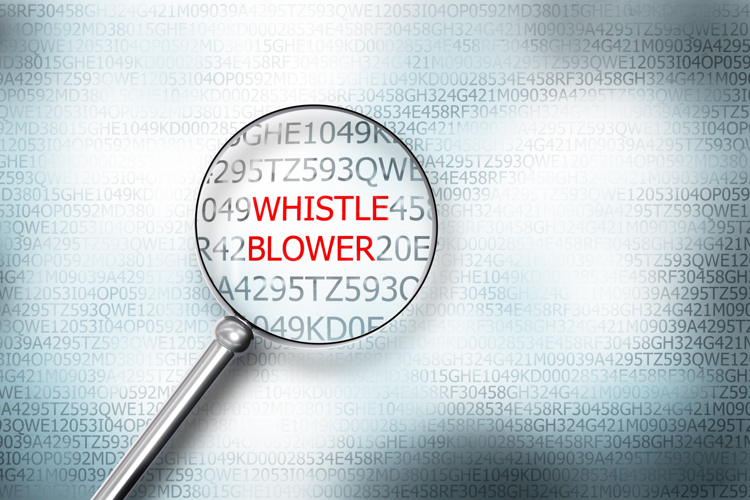 Whistleblower, HinSchG, Hinweisgeber